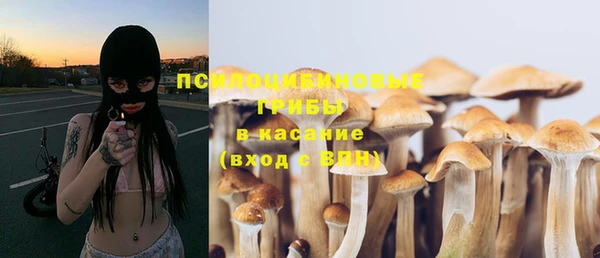 PSILOCYBIN Алзамай
