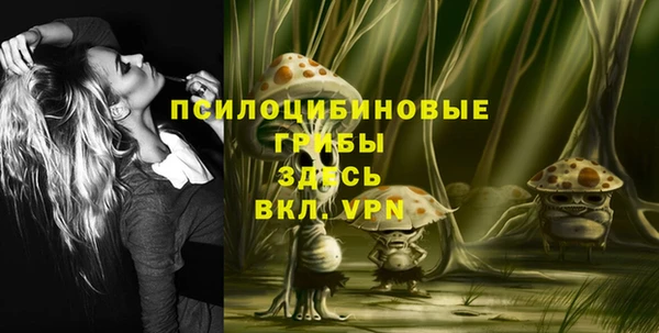 прущие крисы Алексеевка