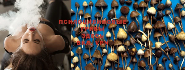 PSILOCYBIN Корсаков