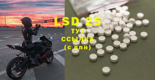 PSILOCYBIN Алзамай