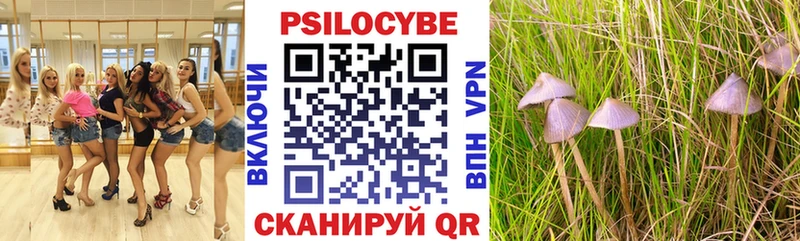 наркошоп  Яровое  Галлюциногенные грибы прущие грибы 